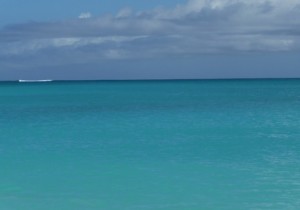 Post YOUR BLISS BEAUTY Caribbean Water Photo by Barbara Ficarra